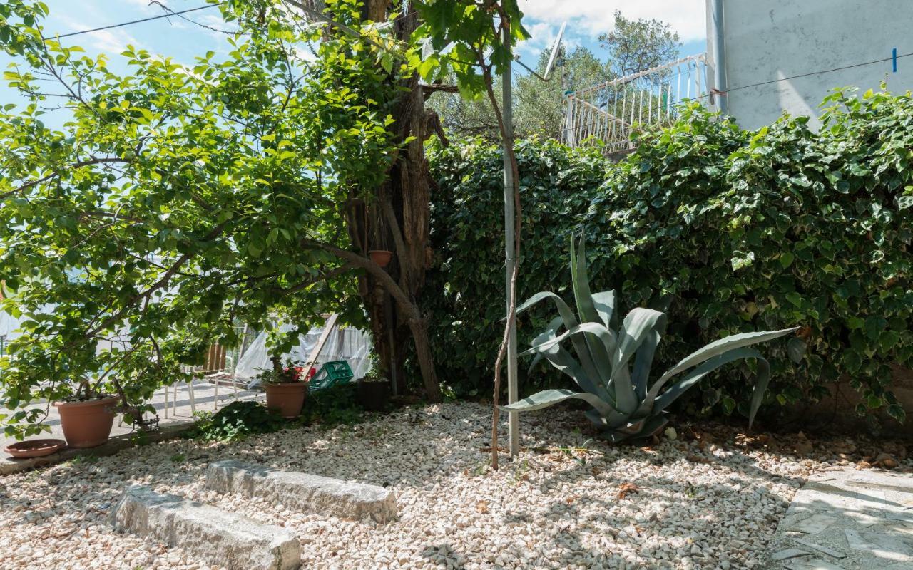 Apartments Azzurro Blace Εξωτερικό φωτογραφία